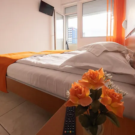 Dunarea Hotel 3*